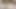 縛って、感じさせてくれ。