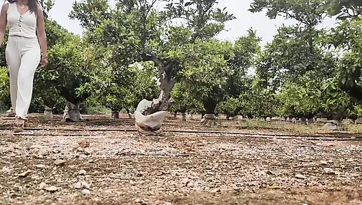 Сборник мочеиспускания