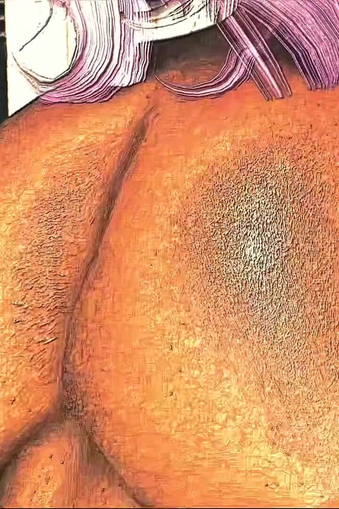 Funny Vids 91