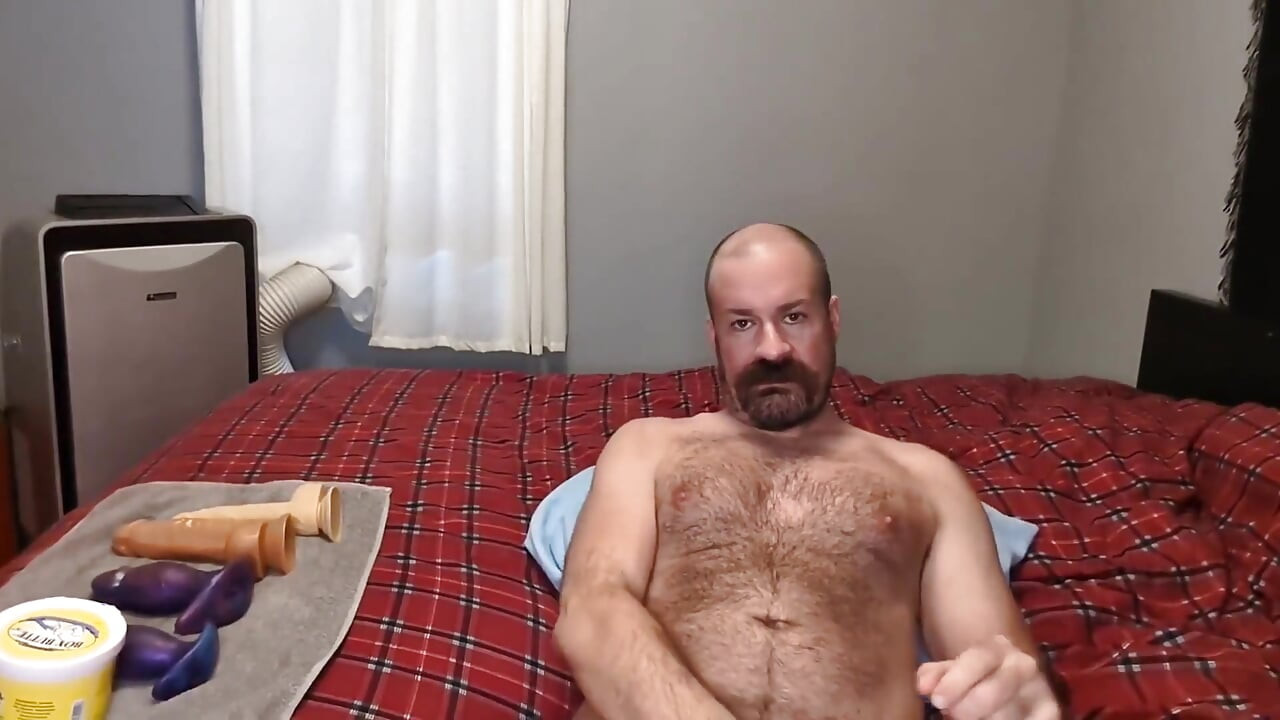 Bear Anal Training with Toys