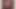 Taylor Swift cum tribute