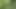 Brazilian Jungle Sex