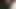 Eş becerdin köpek stil bybbc