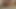 Wife Multi Orgasm Session