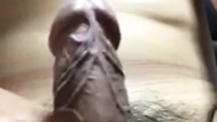 penis