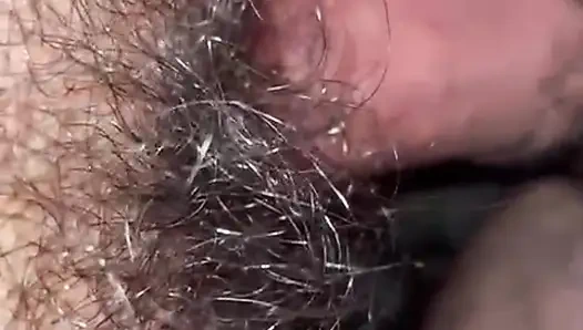 Pug anal, sikiliyor