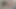 fat ass stepmom asked for anal