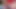 Azgın lezbiyen gösterisi büyük bir dildo tarafından sikiliyor ve vibratörle mastürbasyon yapıyor
