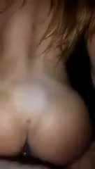 Impalata xx