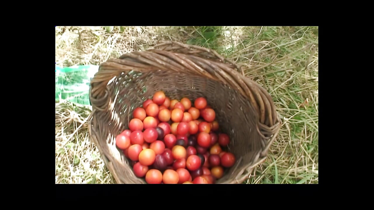 The Old Men and the Girl