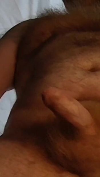 Masturbación de oso peludo británico mostrando mi vientre y pecho peludos