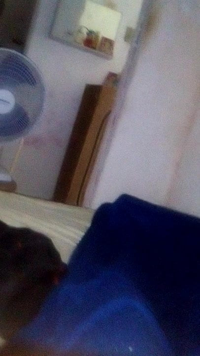 Gozei olhando um cuzinho