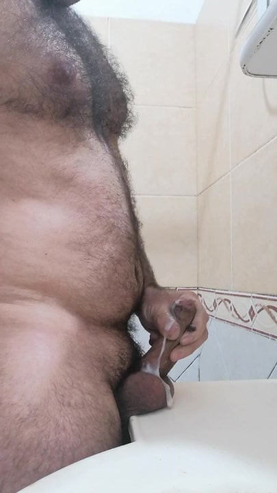 oso caliente