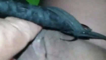 my dick magic 5