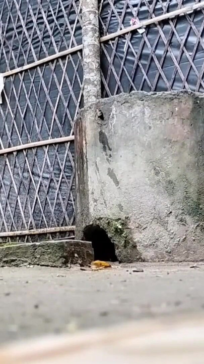 Zapanjujući trenutak iz filma "Indijska XXX žena jebana na otvorenom (službeni video Villagesex91)"