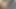 Ahegao schlampe stopft tropfende muschi mit glas spielzeug