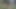 ウォーク67 2025