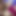 サロニ・デシ女子・ホームカレッジ