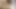 8 cum in 10minutes after 20days chastity - prostate draining