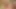 Mature couple homemade fuck