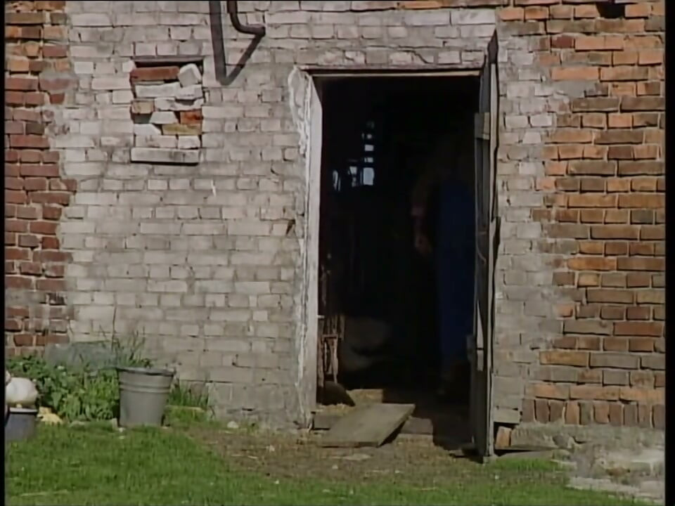 Horny Slut Fucked by Two German Gigolo with a Hard Cock