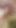 Epic moment from "Closeup creampie compilation! Tight pussy douching! POV!"
