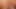 Close-up pussy and cock while fucking
