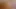 Painting another portrait with my cock.