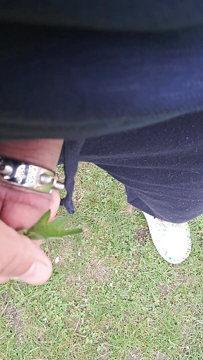 Nettles for my cuckold limp penis