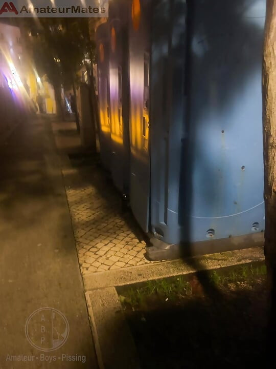 Amateur Boy Opens Street Public Toilets, Catches His Ginger Friend Peeing and Lends Him a Helping Hand