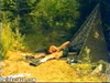 Pregled videozapisa