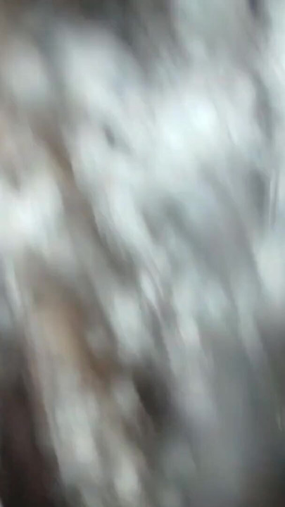 Beautiful Indian Kirtee Bhabhi Pussy and Ass Fucked Hard by boyfrind | Clip 1