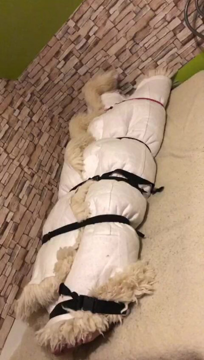 ファー・オーガズム4