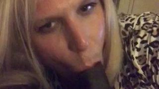 Shemale pornoster Jessica Jasmine zuigt en neukt grote zwarte lul