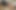 Cum Swallowing Reward for Delivery Guy's Same Day Service