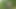 Horny Latina Deepthroats in Park Grass and Gets Her Pussy Hardcore Hammered!