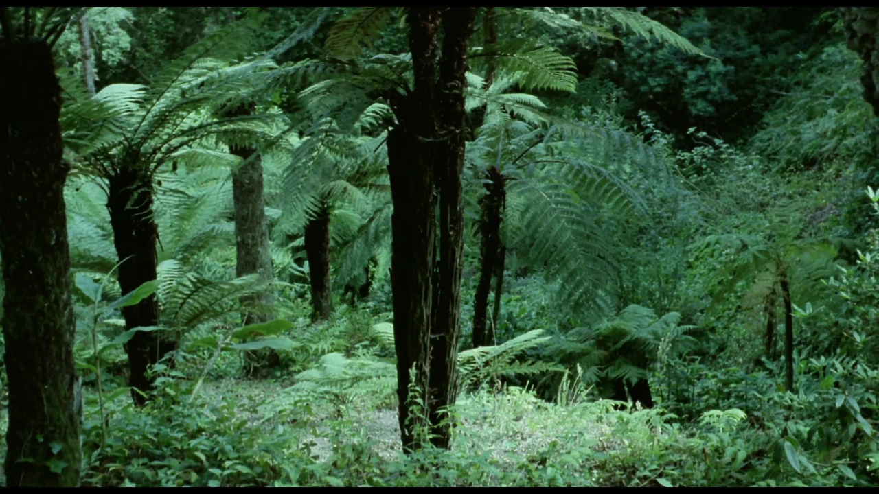 Frauen Im Liebeslager (Remastered)
