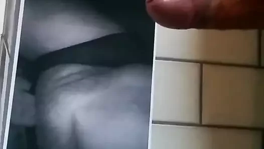Cum haraç üzerinde güzel kedi