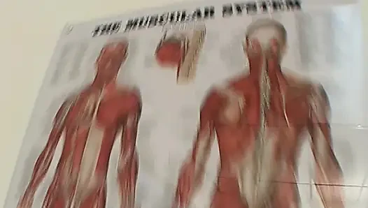 Doktorla üçlü seks