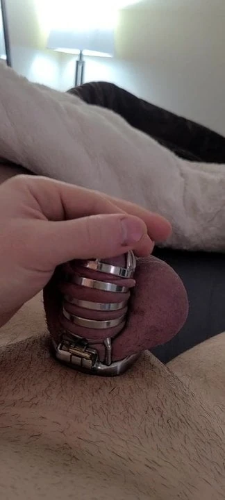 6 days of 7 in chastity