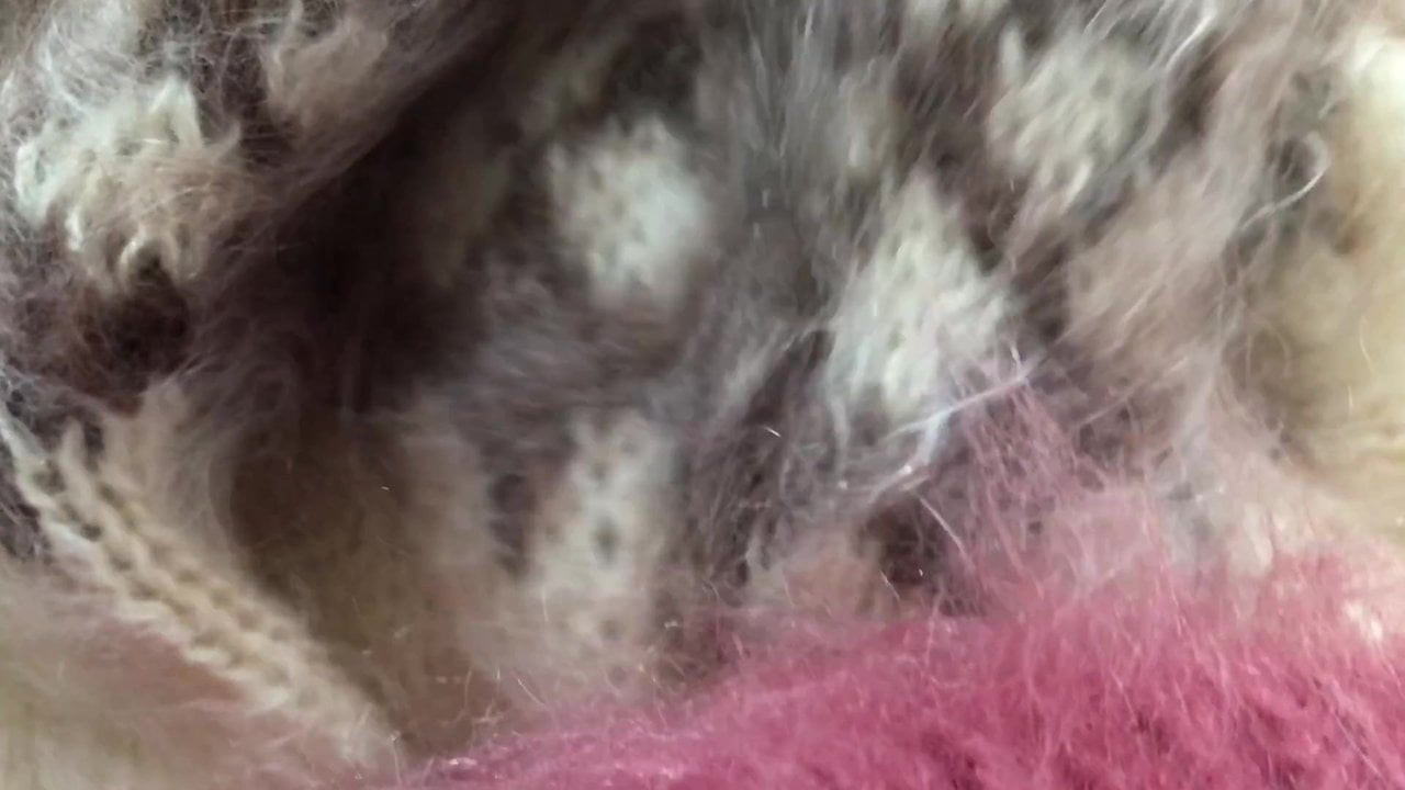 Fluffy Playtime 2