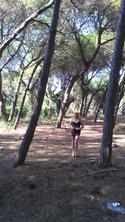 PINETA