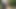 このビデオを誰かに見せてもらえますか?