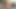Bdsm köle zevkim için yumrukla kullanılıyor ve hamile bırakılıyor 2