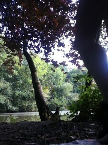 naked in public park