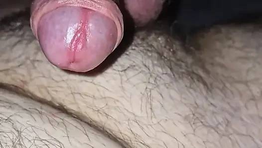 Hotti shared cock in cage observes boisterous goings-on.