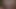 الملاك الآسيوي 25272