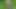 German teen hobby inseminated by stranger