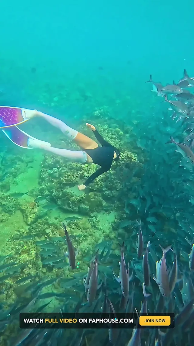 Im Your Little Mermaid