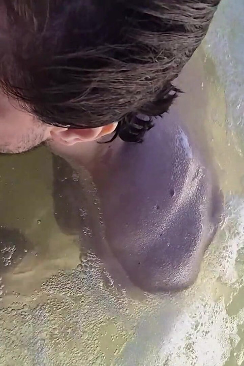 Blowjob dan Cumshot Wajah di Jacuzzi